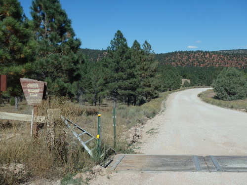 GDMBR: We're biking into of Cibola National Forest again.